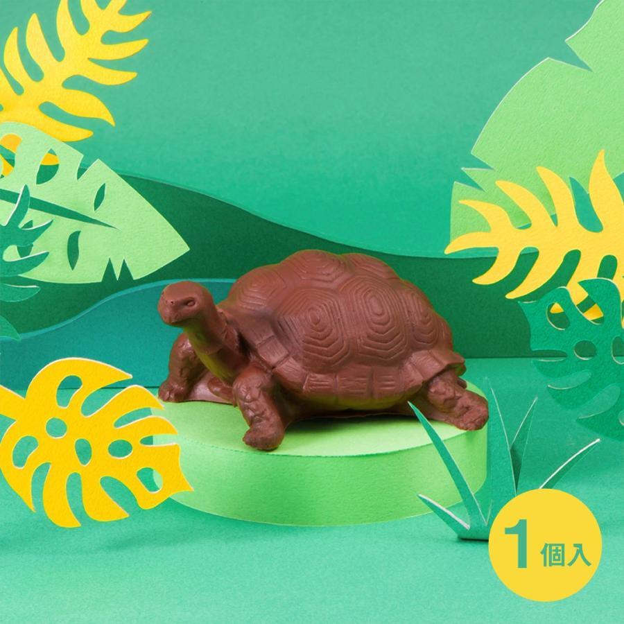 ゾウ 亀三種 nagano2206zoo-eyecatchi.jpg