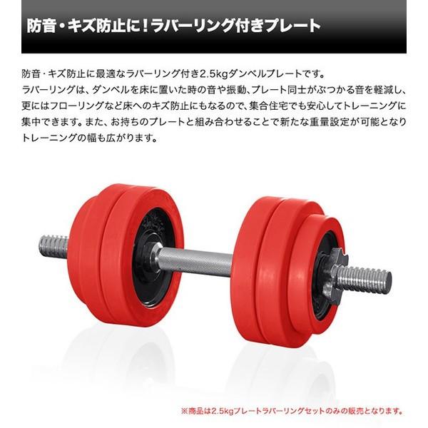 ダンベル バーベル 用 プレート 2.5kg 2個セット ブラックアイアン +
