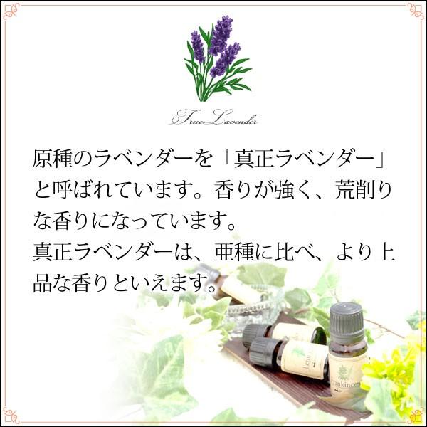 真正ラベンダー5ml 天然由来100%エッセンシャルオイル アロマオイル
