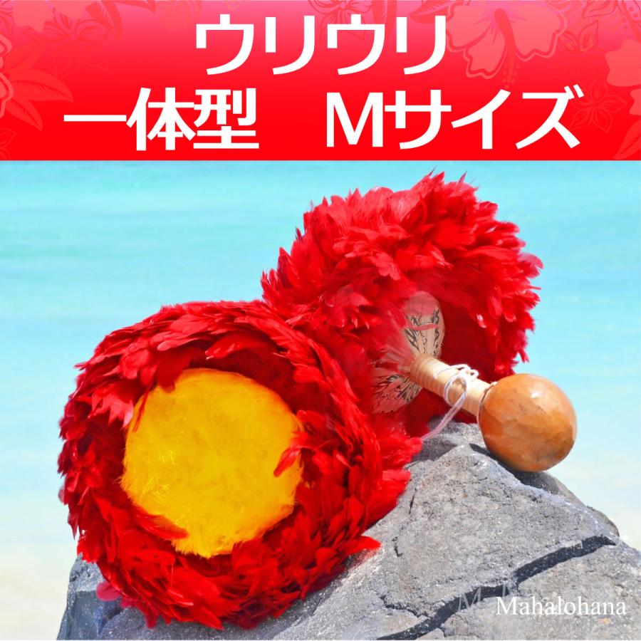 ハワイアン フラダンス 楽器 ウリウリ 一般サイズ Mサイズ 約27cm 一