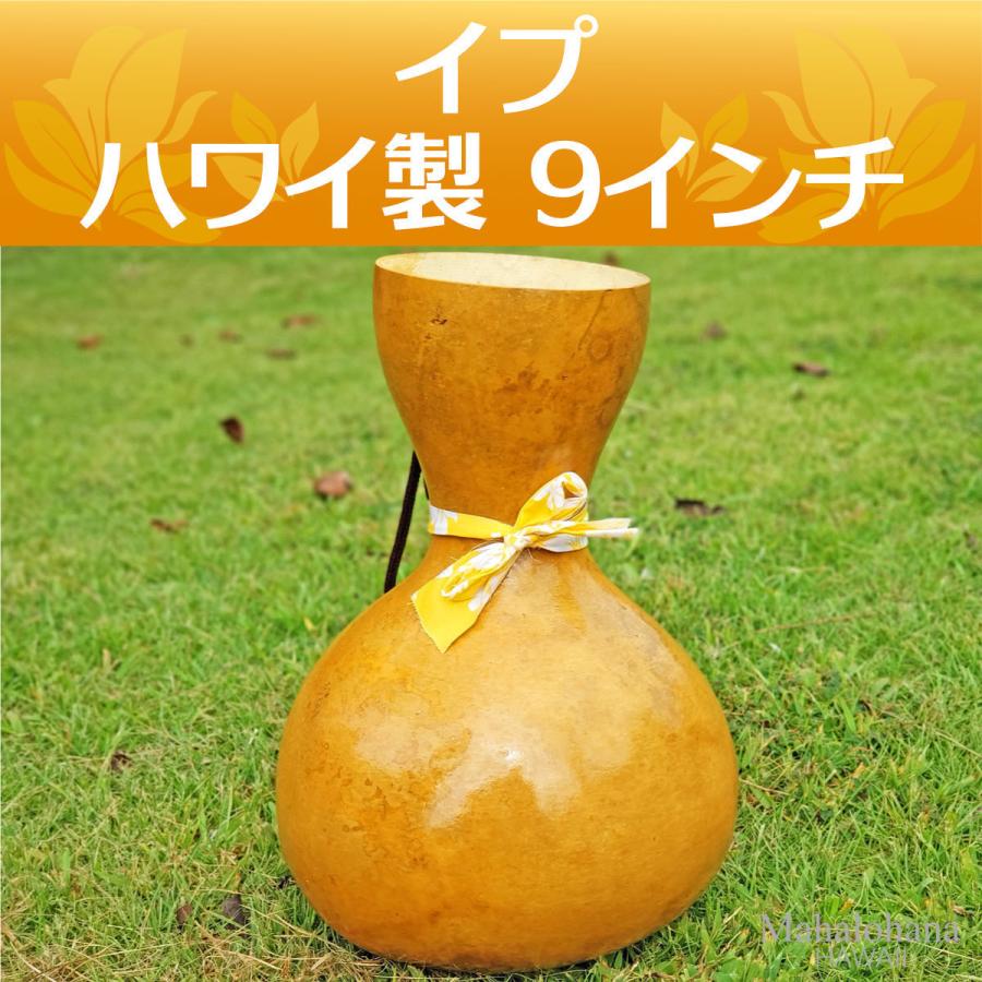 ハワイアン フラダンス 楽器 イプ ヘケ オレ Lサイズ (9インチ) ハワイ