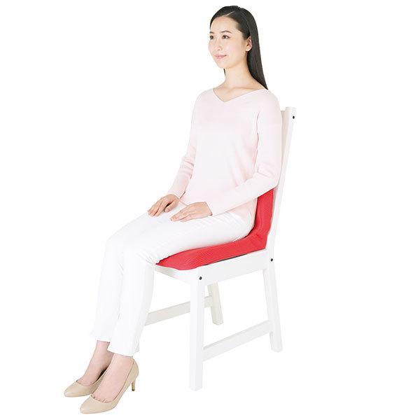 p!nto（ピント） ピーエーエス 姿勢サポートクッション 1個 : 産経