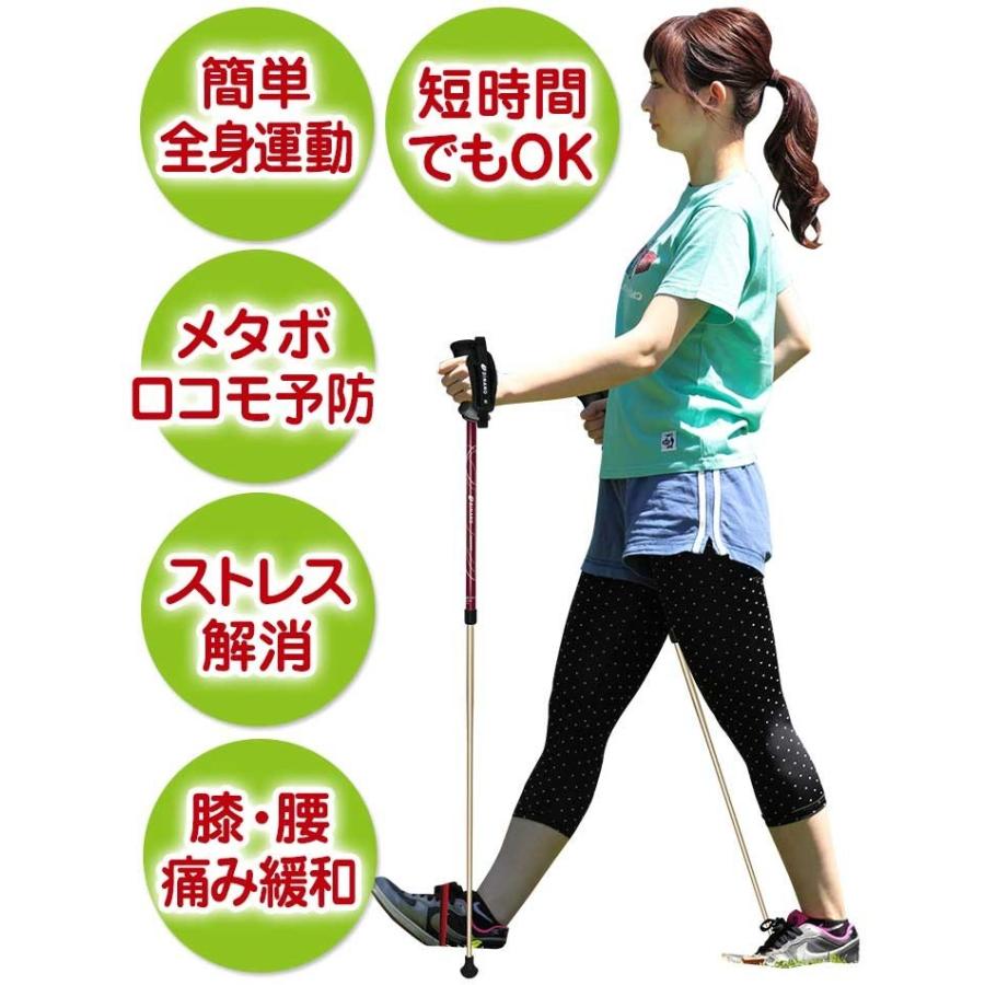 SINANO シナノ レビータ ネクスト 2本組 ノルディック ウォーク