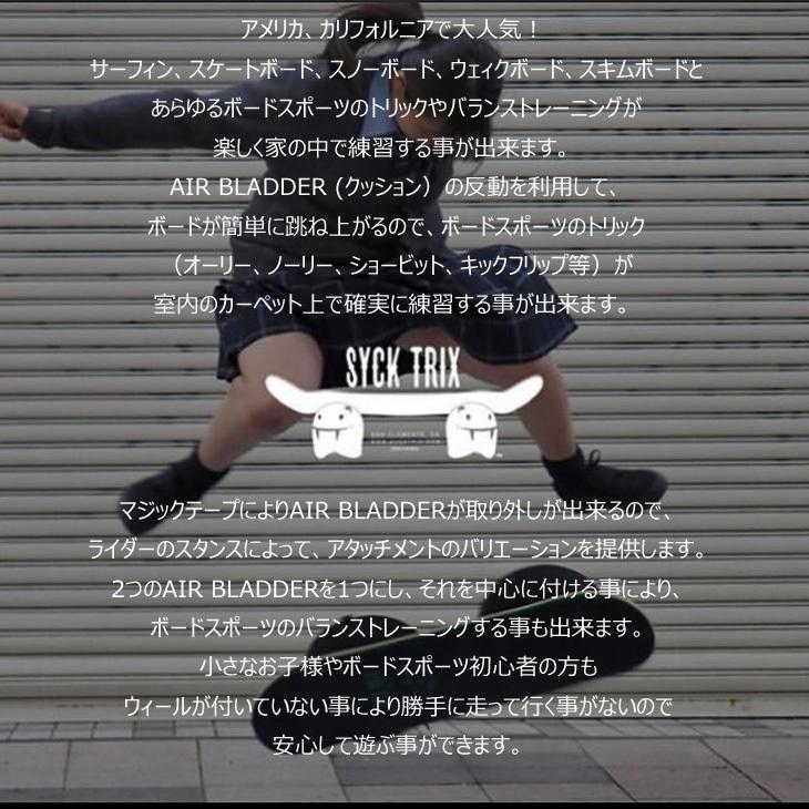 SYCK TRIX シックトリックス バランスボード 体幹 トレーニング