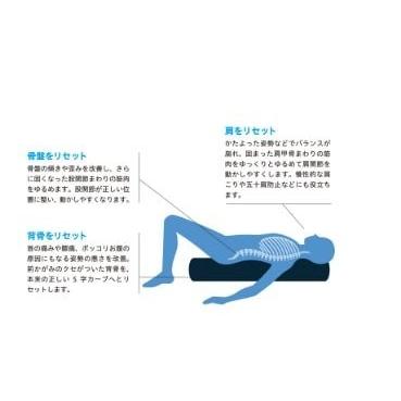 ストレッチポール（StretchPole） ストレッチポールEX(アイボリー)株式