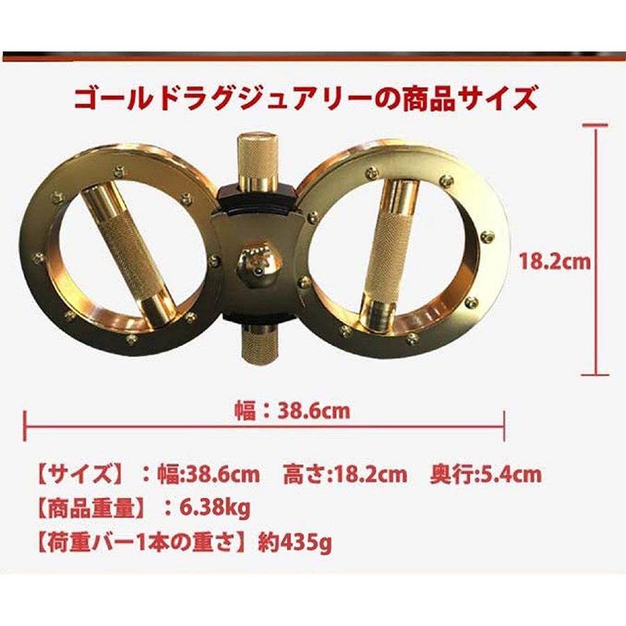 バーンマシーン ゴールドラグジュアリー 6.38kg トレーニング