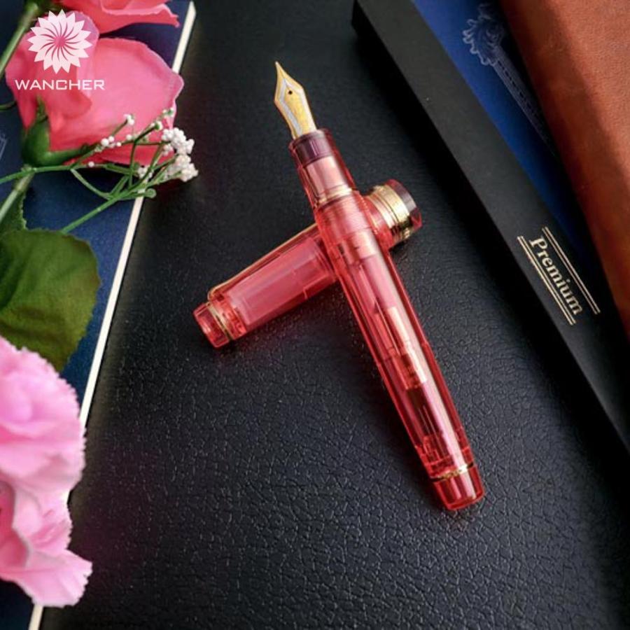 セーラー万年筆 WANCHER × SAILOR プロフェッショナルギア 21金 インカ