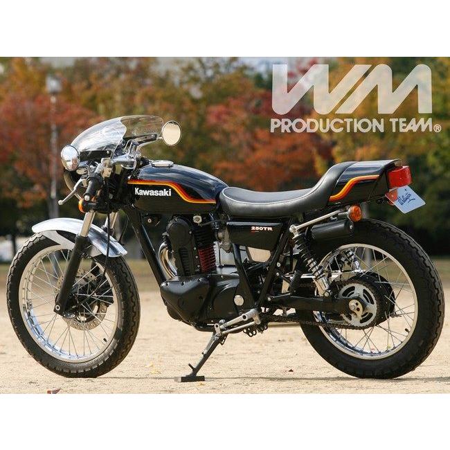 WM（ダブルエム） マッハモード テールカウル COMP 250TR KAWASAKI