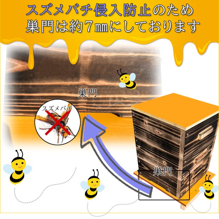 日本蜜蜂 巣箱 3段 二ホンミツバチ 日本みつばち 重箱式巣箱 送料無料