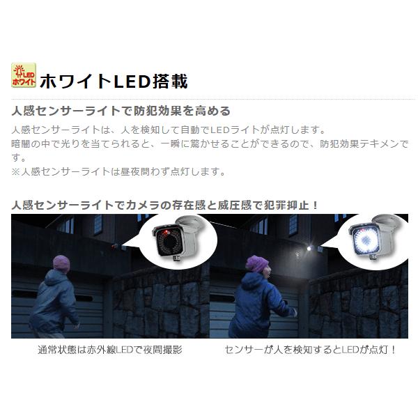 WTW 塚本無線 【受注生産】防犯カメラ 屋外 ボイス赤外線カメラ 防犯灯