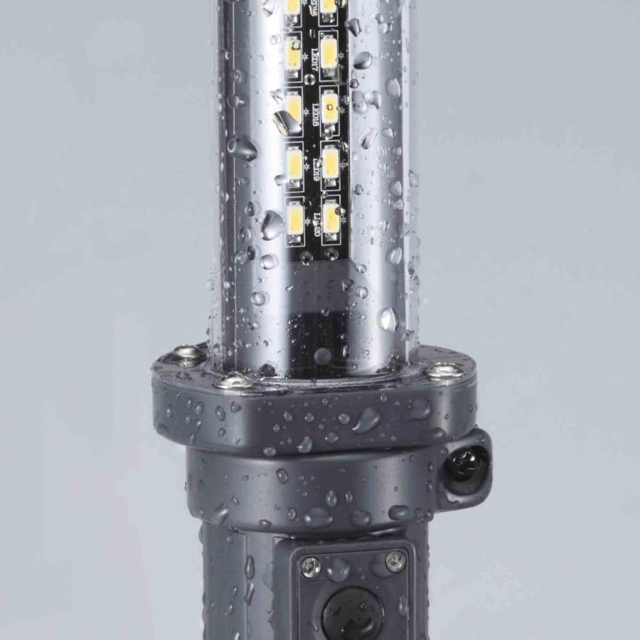 HATAYA（ハタヤ） ハタヤ/HATAYA LW-10N 充電式LEDジョーハンドランプ