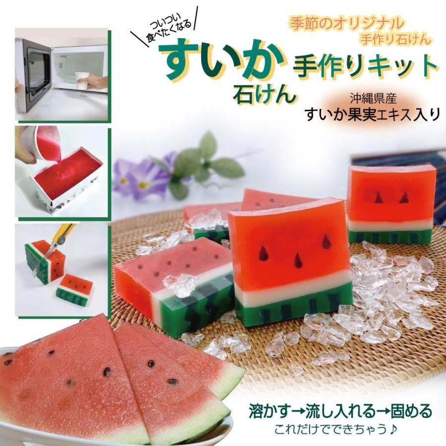 自由研究 キット 手作り石けん すいか 作り方説明書 付 数量限定 季節