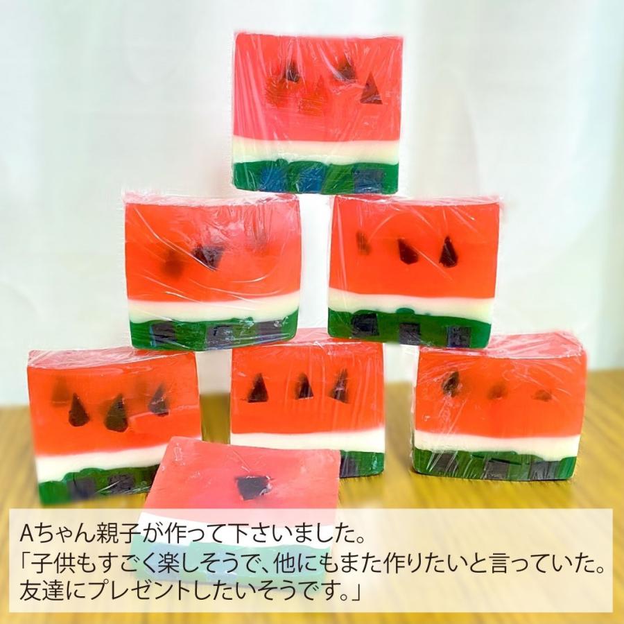 自由研究 キット 手作り石けん すいか 作り方説明書 付 数量限定 季節