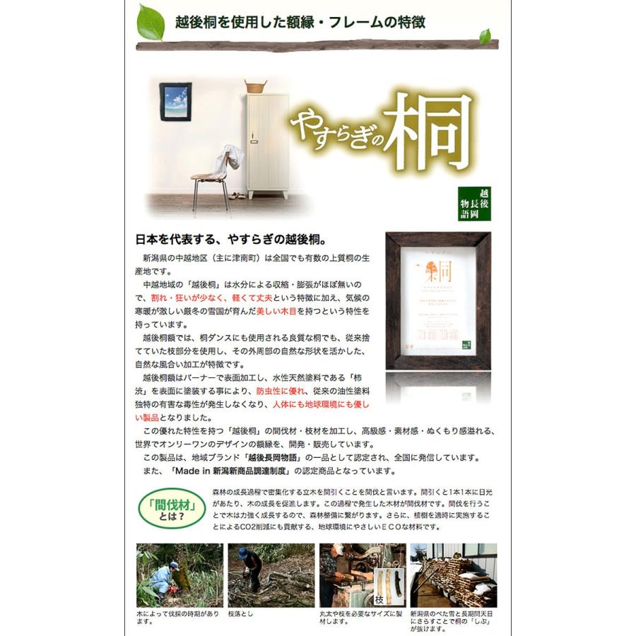 越後桐の天然木額【桐60 A4サイズ】軽くて丈夫 自然の桐の美しい木目を