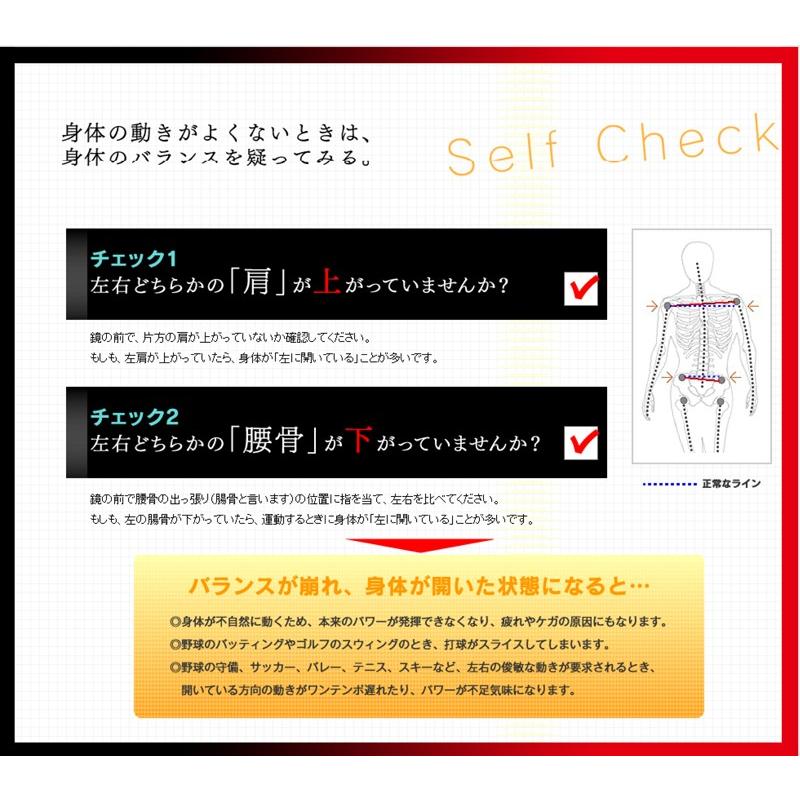 デサント・コウノエベルト骨盤用 1500 レギュラータイプ