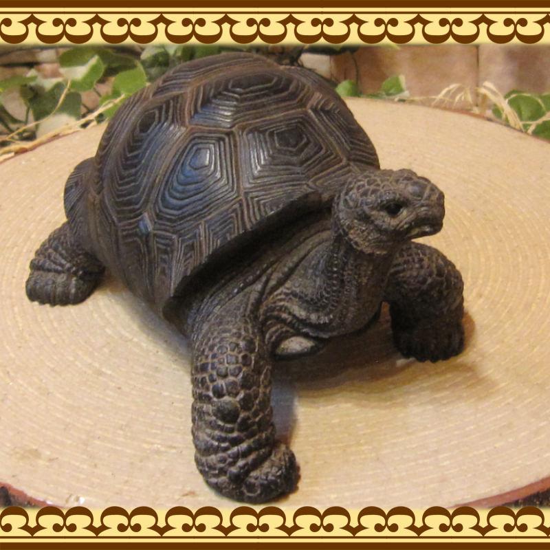置物 動物 可愛い リアル カメの置物 Aタイプ かめオブジェ 亀