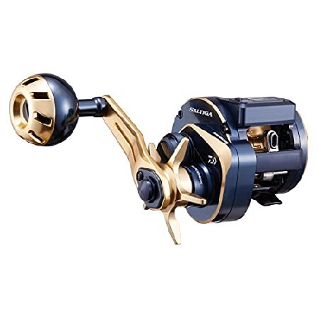 DAIWA（釣り） 21 ソルティガIC 300HL-SJ 釣り ベイトリール - 最安値