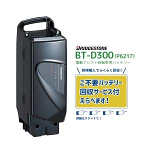 BRIDGESTONE（ブリヂストン） 充電器・充電台 ブリヂストン電動