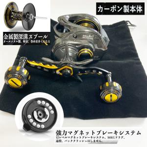 DAIWA（ダイワ） 25 タトゥーラ TW 200H ベイトリール (2025年 新製品