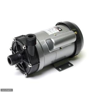 レイシー たて型ポンプ P-450V 水中ポンプ 送料無料 管理80 : アクア