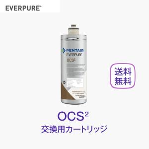 エバーピュア 2DC 浄水器カートリッジ 業務用 : 厨房 キッチンプラス