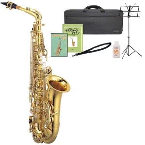 YAMAHA（ヤマハ） YAMAHA YVS-100 + 入門書/はじめてのヴェノーヴァ +