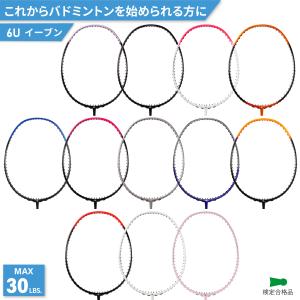 アパックス バドミントンラケット ファンタラプロ101 FANTALA PRO 101