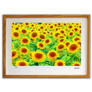 手描き油絵 足立 弘樹 ひまわり畑1 F10 画家本人手描き 絵画 額入り 絵