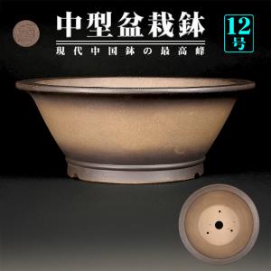 盆栽鉢 烏泥外縁下紐楕円鉢 植木鉢 中国鉢 張氏製陶 落款あり 15号