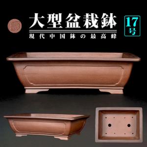 盆栽鉢 烏泥外縁隅切額面長方鉢 植木鉢 中国鉢 張氏製陶 落款あり 17号