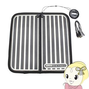 プロのこだわりシリーズ exbe 足裏プロ EMS plus EMS - 最安値・価格