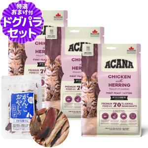 選べるプレゼント付き)乳酸菌H&JIN エイチジン フローラ（人用） 60ml