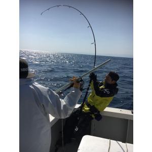 力丸水産 力丸POP SUGMA cut 210 : DEEP BLUE OCEAN - 通販 - Yahoo