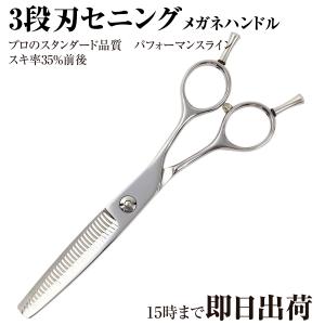 DEEDS プロ用 美容師 GBZ シザー (5.5インチ) 日本の鋏専門メーカー