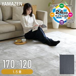 Panasonic（パナソニック） DC-1NKB1-C ベージュ 電気カーペット