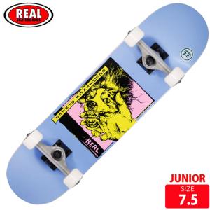 ブラインド スケボー スケートボード BLIND コンプリート デッキ 7.875