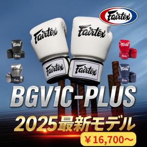 フェアテックス Fairtex 本革 ボクシンググローブ BGV16 8オンス 10