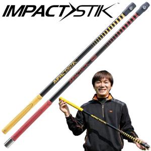 LPSwing レフトペルヴィススイング 正規品 パワーアップ スティック D3