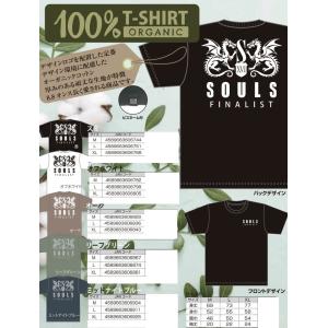 SOULS（ソウルズ） 【送料無料】SOULS シビヤマ 180-65g【イナダ