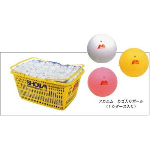 ケンコー・トキナー（KenkoTokina） 「ネーム入れ」ケンコー 練習球