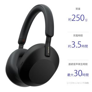 SONY ワイヤレスヘッドフォン WH-1000XM6 (B) [ブラック]【お取り寄せ