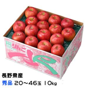 りんご サンふじ 青森産 高糖度 JA津軽みらい 黒箱 特選 46玉入り 約