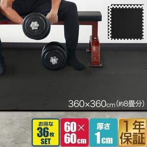 ViPR バイパー 10kg 代引き不可 返品・交換不可 トレーニング プロ