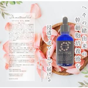 ヒト幹細胞培養液 配合率97% エクソソーム 高濃度 高品質 美容液