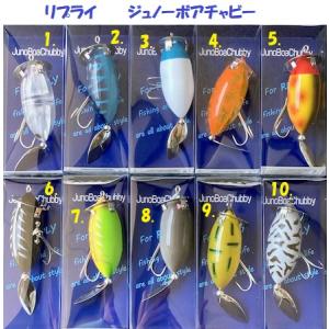 メガバス ジャグラー 10R （Megabass Jaggler