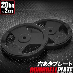 バーベル 用 プレート 穴あき 10kg 2個セット 追加 ダンベルプレート