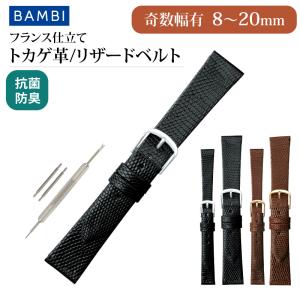 BAMBI（バンビ） リザード 時計ベルト カラー ドレスウォッチ 高級