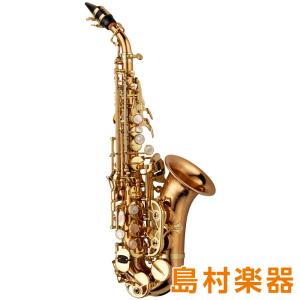 SELMER（セルマー） Selmer Paris テナーサックス用ネック SERIE III