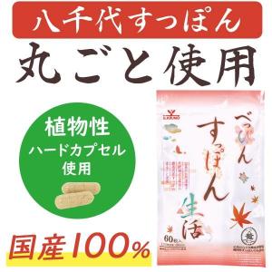 すっぽん小町 62粒 31日分 送料無料 ポスト投函 : 総合通販デパコ