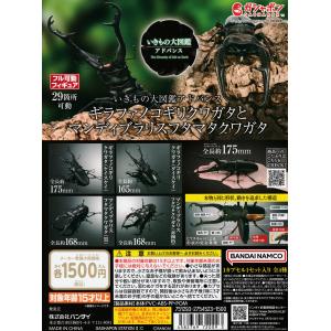 いきもの大図鑑アドバンス ダンゴムシ 【全3種 コンプリート セット